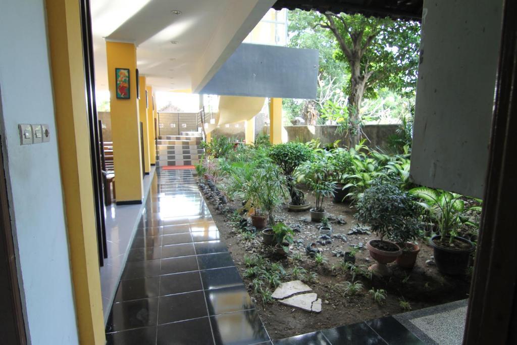 קוטה לומבוק Ct1 Bali Bed & Breakfast מראה חיצוני תמונה